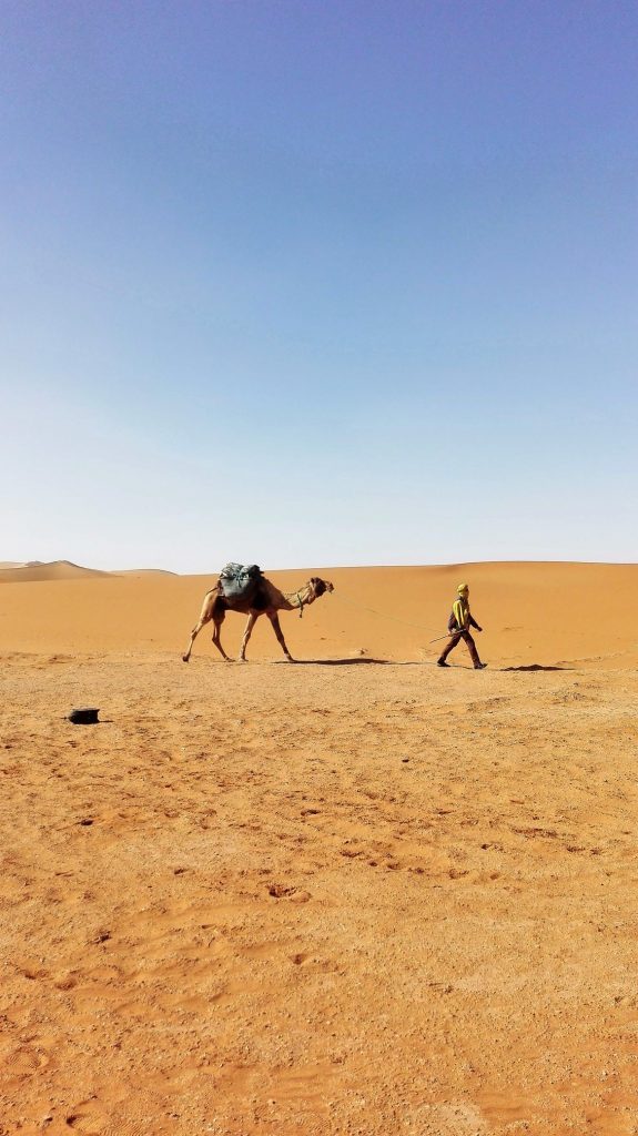 Ung mand trækker afsted med sin kamel og sine ejendele i Sahara. Foto: Birgitte Bruun