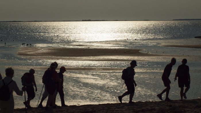 En aftentur ved Sædding Strand kan være god hjernegymnastik. Foto Jens Andreas Pedersen