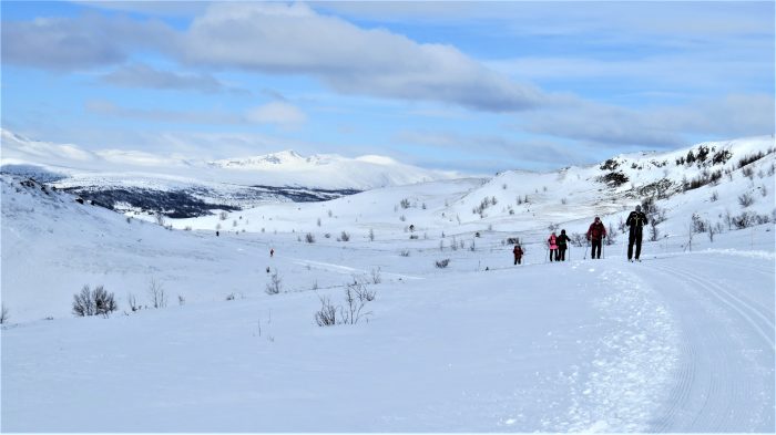DVL på ski på højfjeldet Ruten 2019. Foto Bente Michelsen
