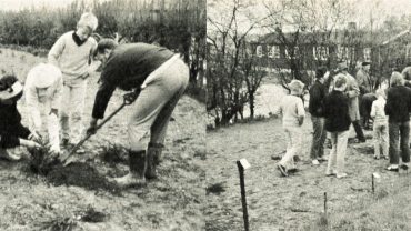 Der bliver plantet træer ved Laugsgården ved 40-årsdagen. Foto DVL's arkiv