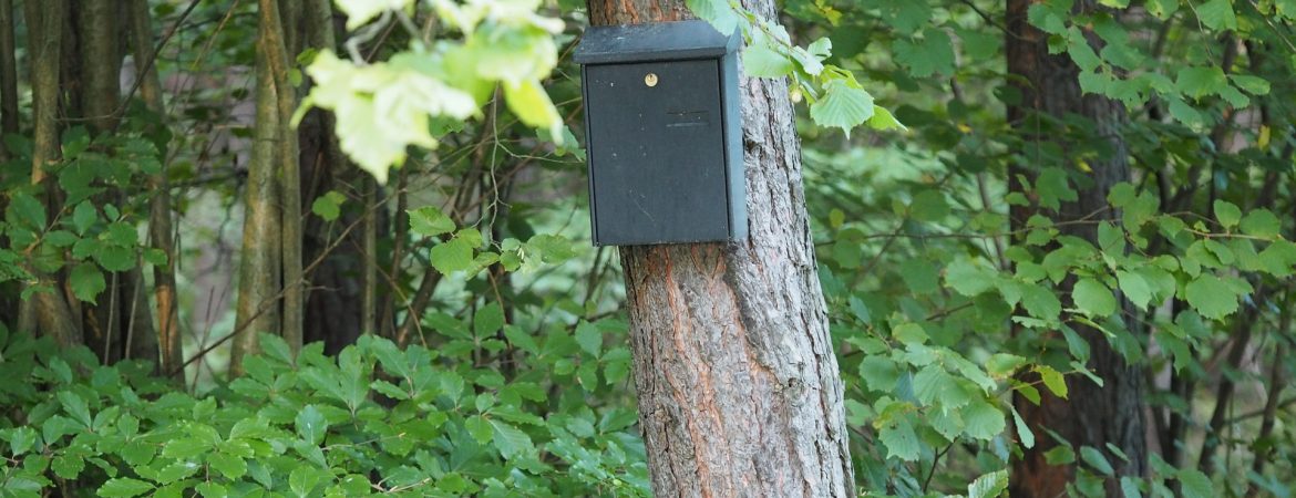 Postkasse i skoven. Foto Pixabay