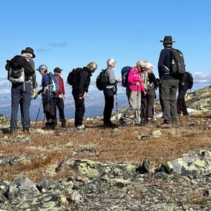 Første plateau på vej op til Ruten-toppen. Foto Arthur Bredli, Ruten Fjellstue