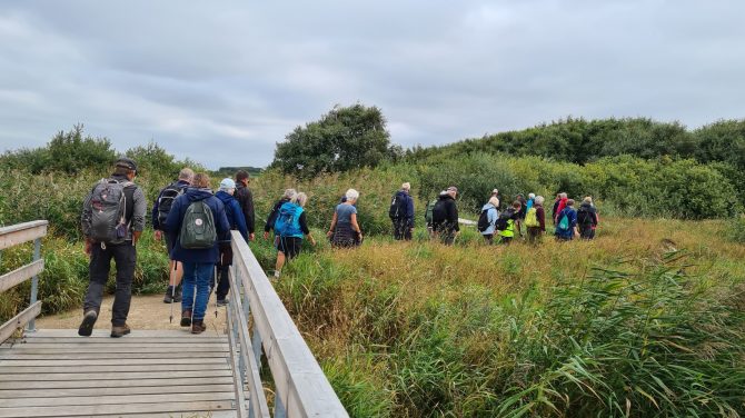 Hvad siger du til en gratis guidet vandretur i godt selskab den 28. september 2024? Få overblik over Vandrernes Dag-ture i Region Nordjylland.