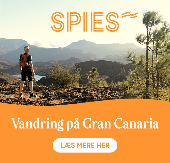 Spies Gran Canaria