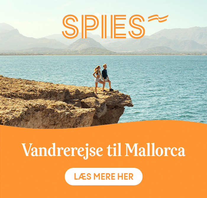 Spies Mallorca