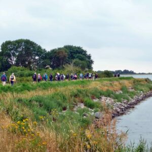 Nakskov Fjord. Foto Steen Henriksen