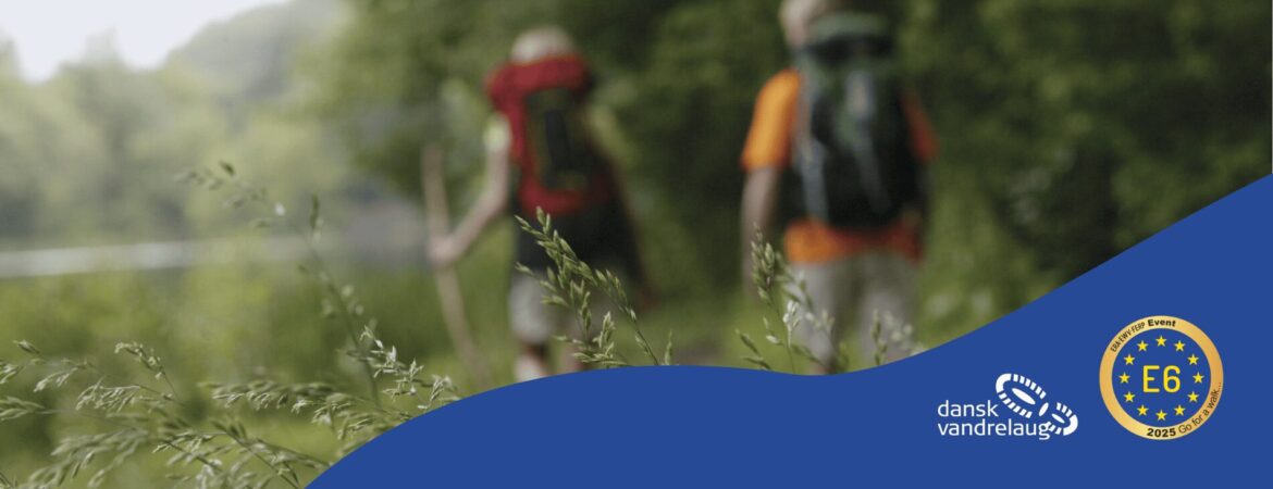 E6 binder Europa sammen (1170 x 450 px)