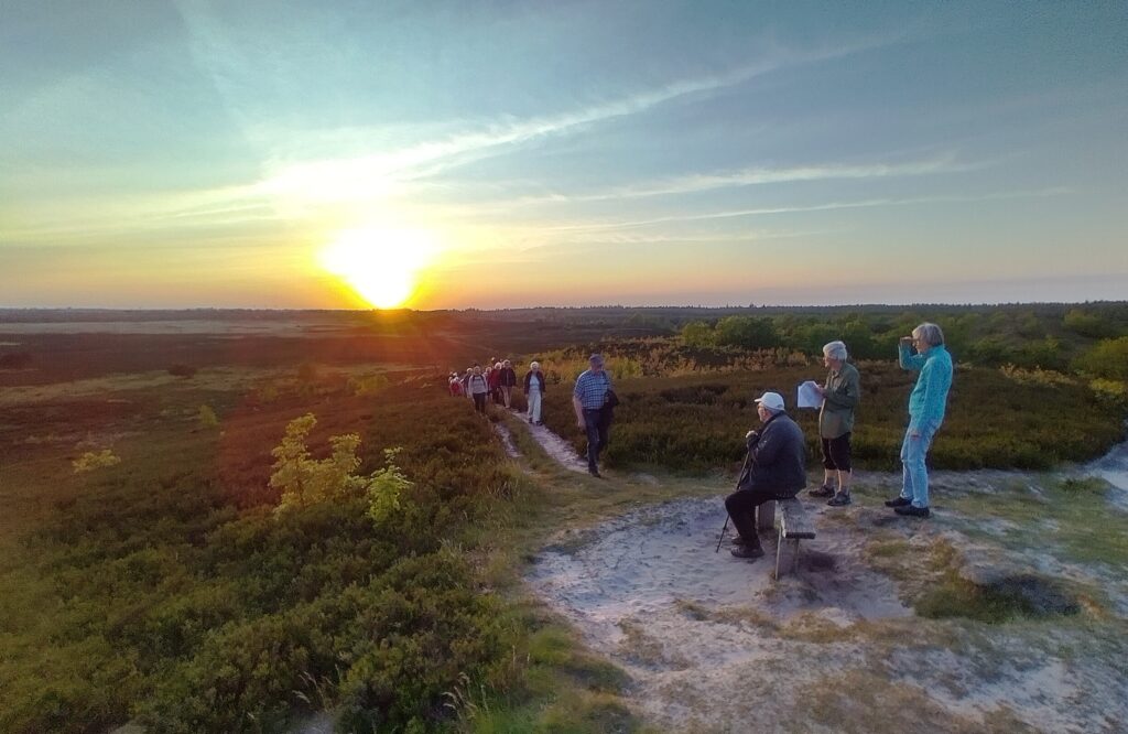 Solnedgang over Staldbakkerne - Frederikshåb Plantage. Foto Henning A. Jensen