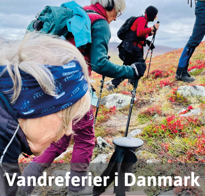 Vandreferier i Danmark