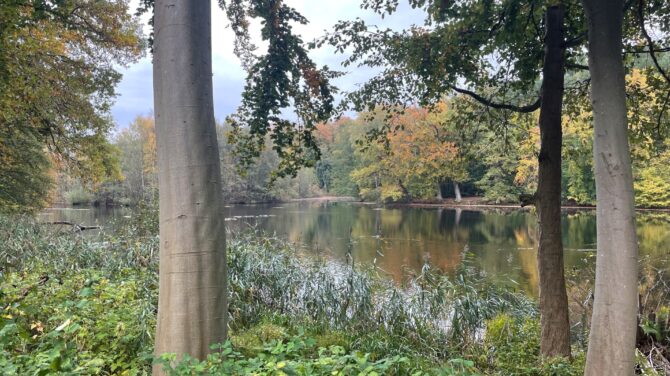 Enrum Dam er blandt anbefalingerne i bogen. Foto Hans Henrik Kleinert