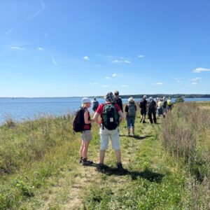 På Hjarnø. Foto Jytte Stycke
