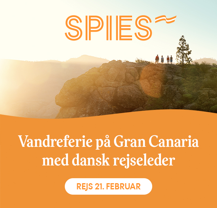 Spies 1 dec 2025 Gran Canaria-ferie