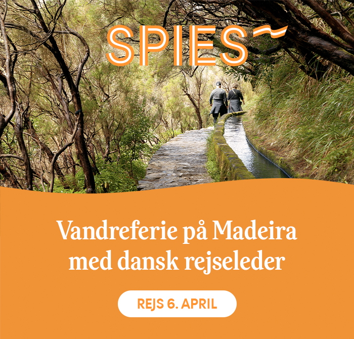Spies 2 dec 2025 Madeira-ferie