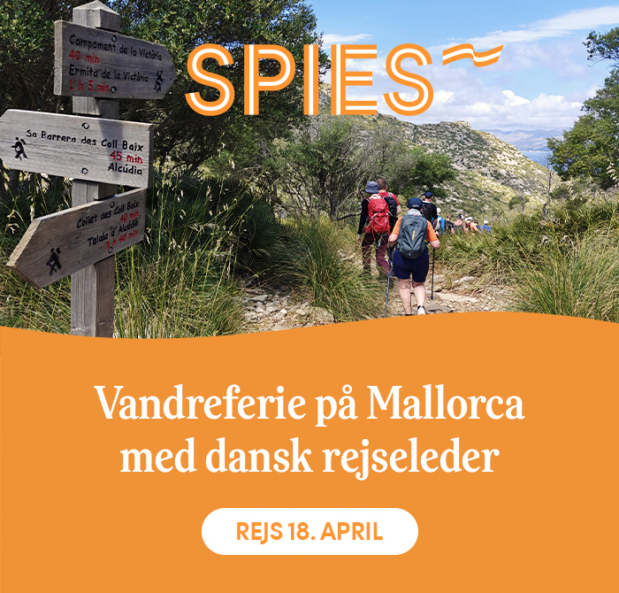 Spies 3 dec 2025 Mallorca-ferie