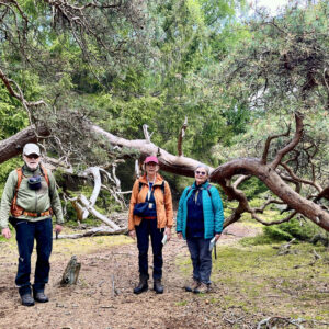 Turlederne Ole Bertelsen, Susanne Glenstrup og Ruth Pedersen gik ligeledes forrest på vandretræffet. Foto Bente Michelsen