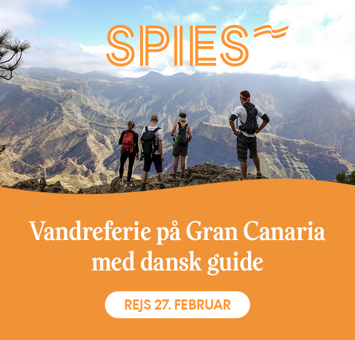 Spies - vandreferie på Gran Canaria med dansk guide