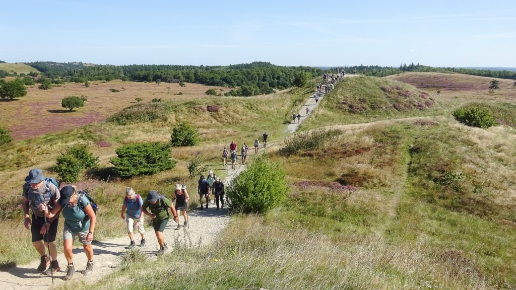 Fra høj til høj på Trehøje i Mols Bjerge med Viborg Afdeling i august. Foto Vagn Olsen