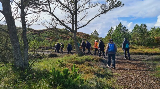 DVL vandretur 28. september 2024. Kærgård Klitplantage – VANDRERNES DAG. Fra turen kl. 15.25.