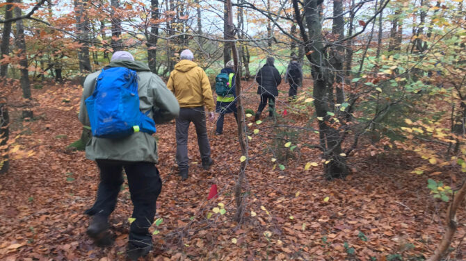 DVL vandretur 24. oktober 2024. Snogdal Plantage og Omme bakker. Fra turen kl. 12.05.