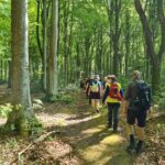 DVL vandretur 8. maj 2025. Tur fra Skærum Mølle til Nørre Vosborg. Fra turen kl. 10.34.