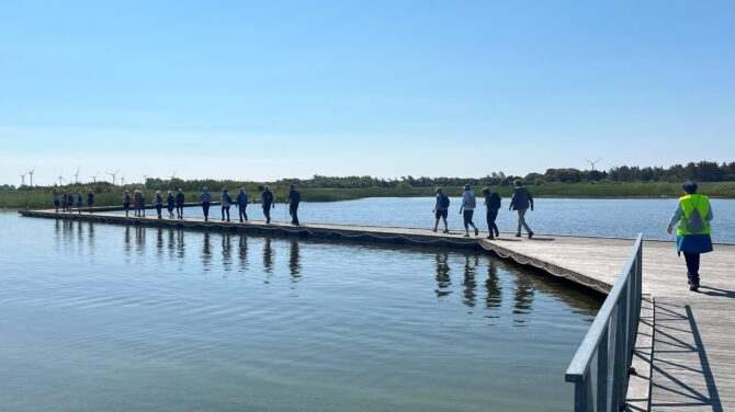 DVL vandretur 12. juni 2025. Gennem Smørhullet og Naturbydelen i Ringkøbing. Kl. 10.49.