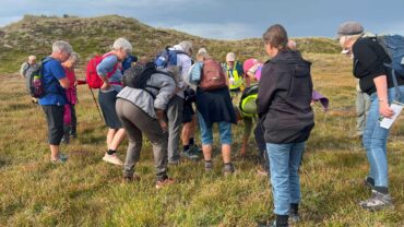 DVL vandretur 28. august 2025. Blomstertur i Husby Klitplantage. Fra turen kl. 10.28.
