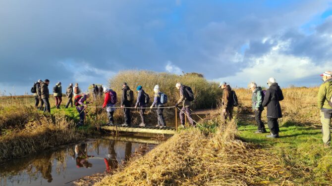DVL vandretur 30. oktober 2025. Mærskruten – Velling. Fra turen kl. 10.05.