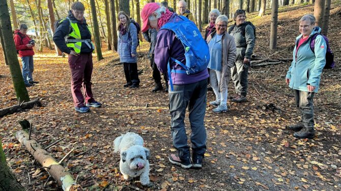 DVL vandretur 6. november 2025. Hundeskoven, Campingpladsen og Rådyrskoven. Tak for en DEJLIG tur kl. 12.35.