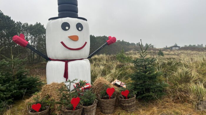 DVL vandretur 4. december 2025. Henne Mølleå – en del af Vestkyststien. Fra ruten kl. 10.43.