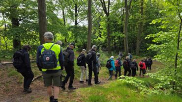 DVL vandretur 21. maj 2026. . Ølgod byskov og rundt om søerne i Ølgod. Fra turen kl. 10.07.