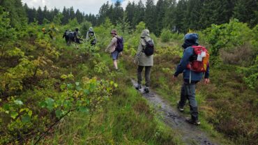 DVL vandretur 11. juni 2026. Ølgryde Plantage. Fra ruten kl. 11.02.