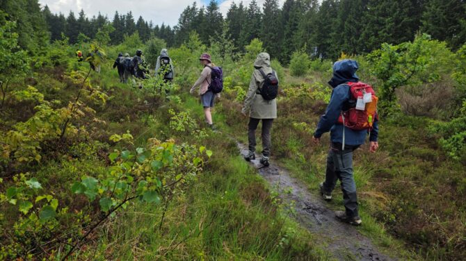 DVL vandretur 11. juni 2026. Ølgryde Plantage. Fra ruten kl. 11.02.