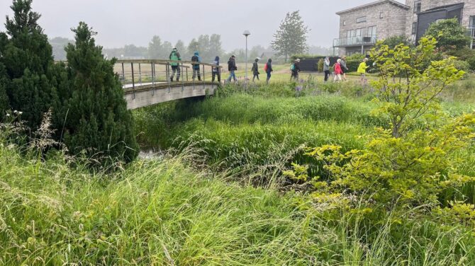 DVL vandretur 17. juni 2026. Bytur med afstikker langs Ganer Å - FYRAFTENSTUR.
