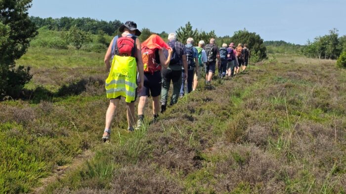 DVL vandretur 16. juli 2026. Hoverdal -Sørup Dam. Fra turen kl. 12.30.