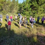 DVL vandretur 27. august 2026. Rejkjær Plantage. Marianne fortæller kl.10.20.