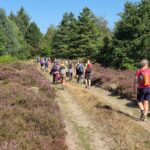 DVL vandretur 27. august 2026. Rejkjær Plantage. Fra ruten kl. 11.29.