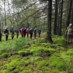 DVL vandretur 24. september 2026. Timring Plantage. Der ses på svampe kl. 10.15.