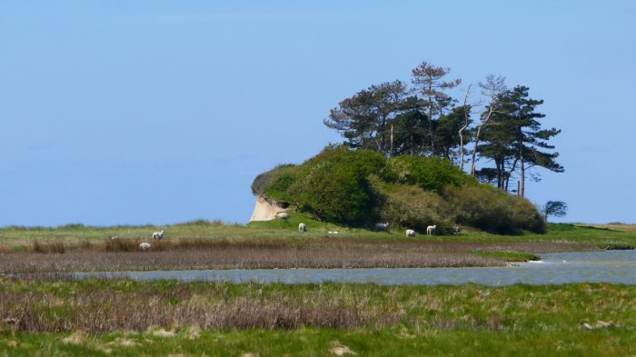 Sælhøj ved Glænø. Foto Karen Schmolke