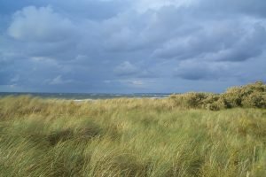 Femø strandparti