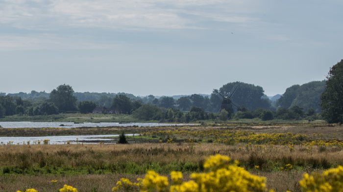 Gelting Birk - Store Nor med diget og vindmøllen Charlotte