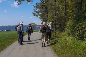 Rundtur ved Iller, Broagerland