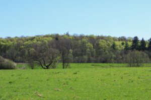 Udsigt til Hjelm skov